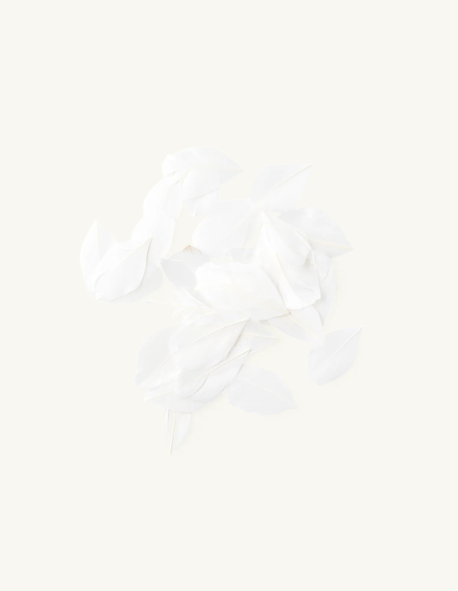 Gæsafjaðrir - Image 2