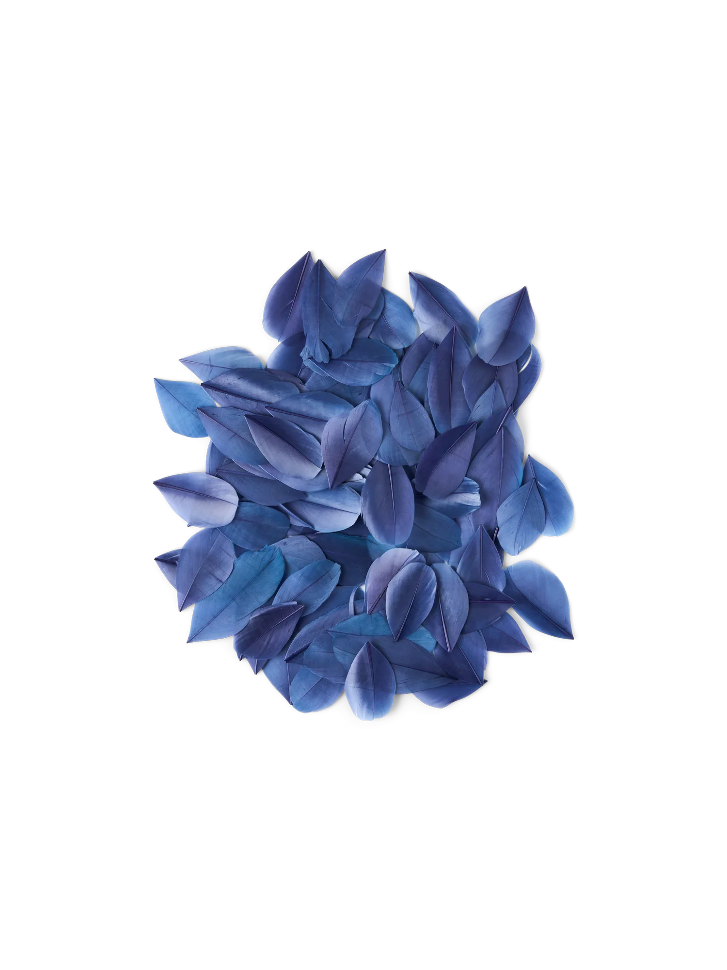 Gæsafjaðrir - Image 36
