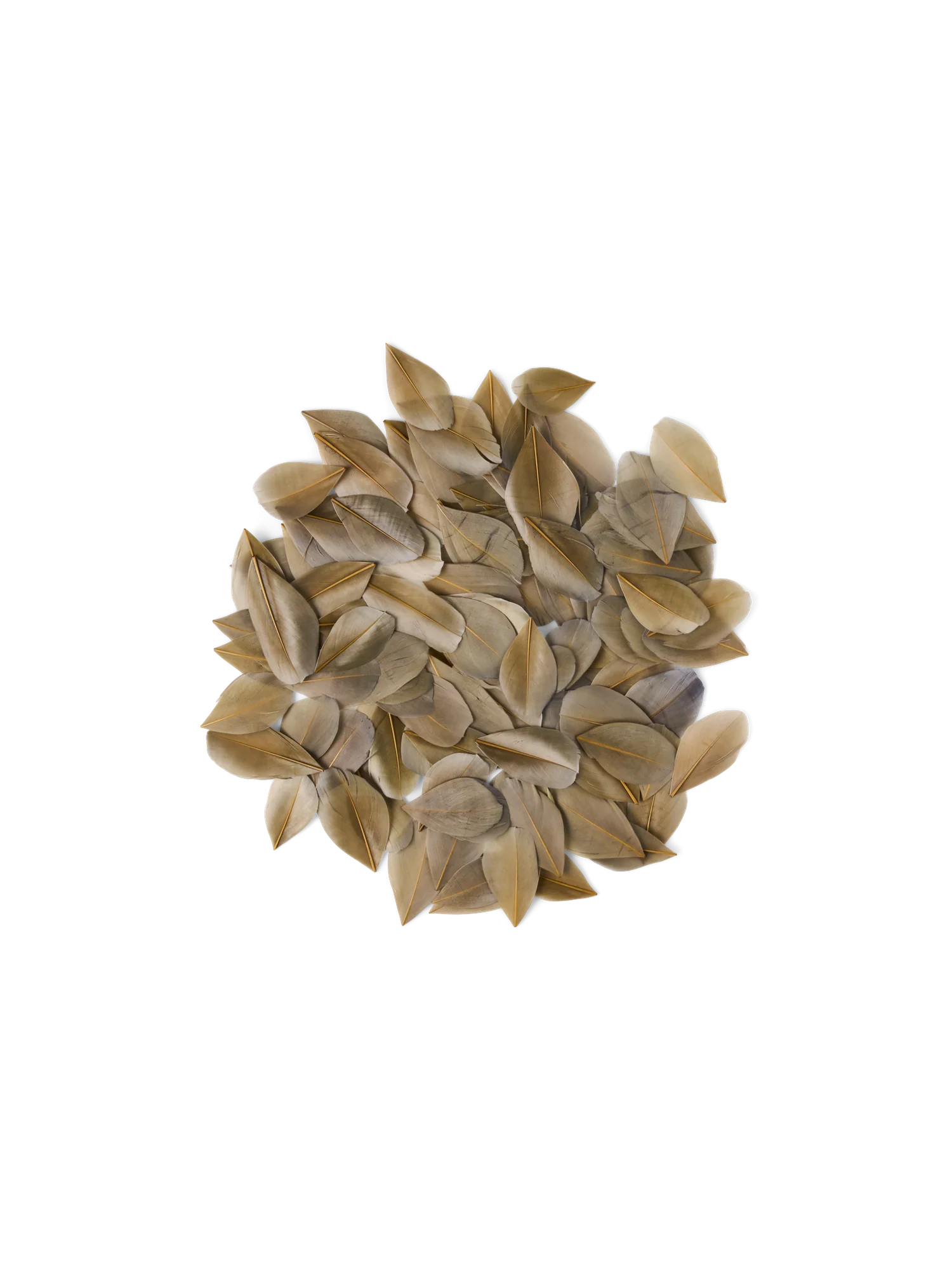 Gæsafjaðrir - Image 38