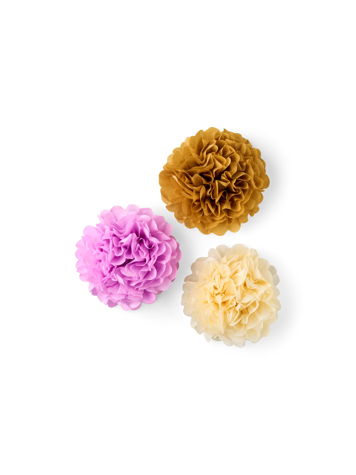 Blóma pom pom - Image 3