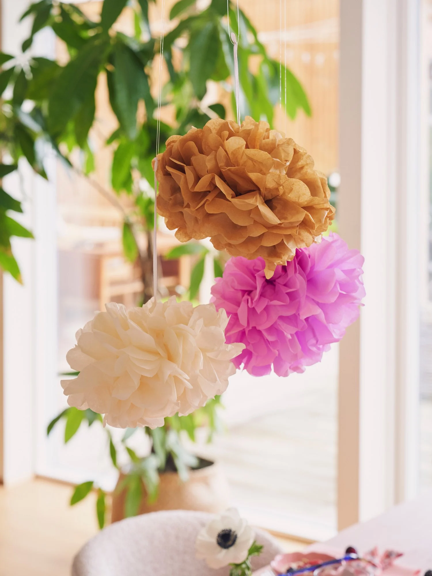Blóma pom pom - Image 4