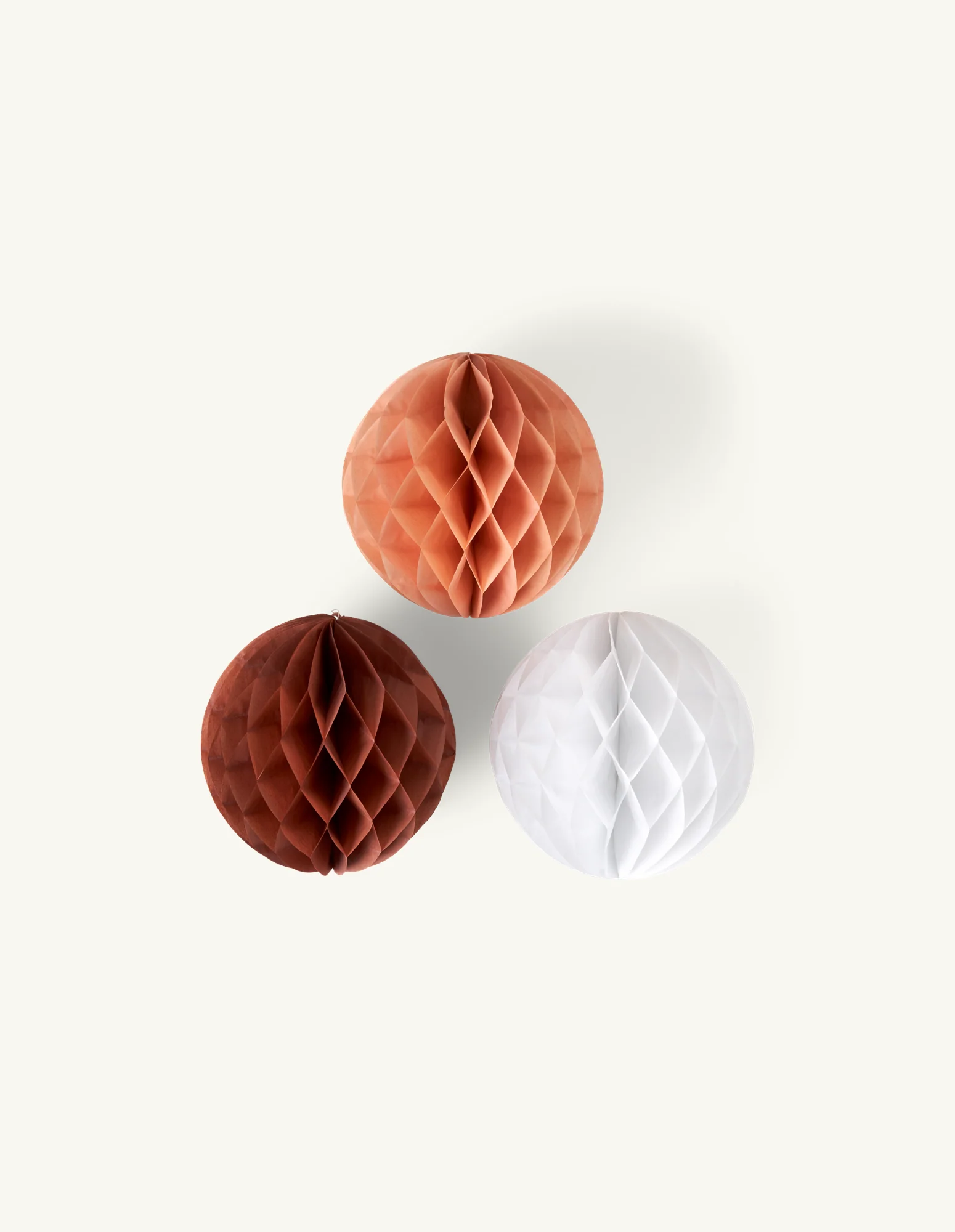 Pompom - Image 3