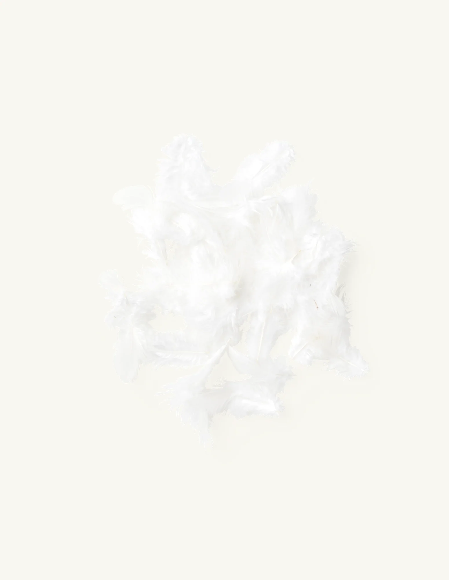 Hænsnafjaðrir - Image 3