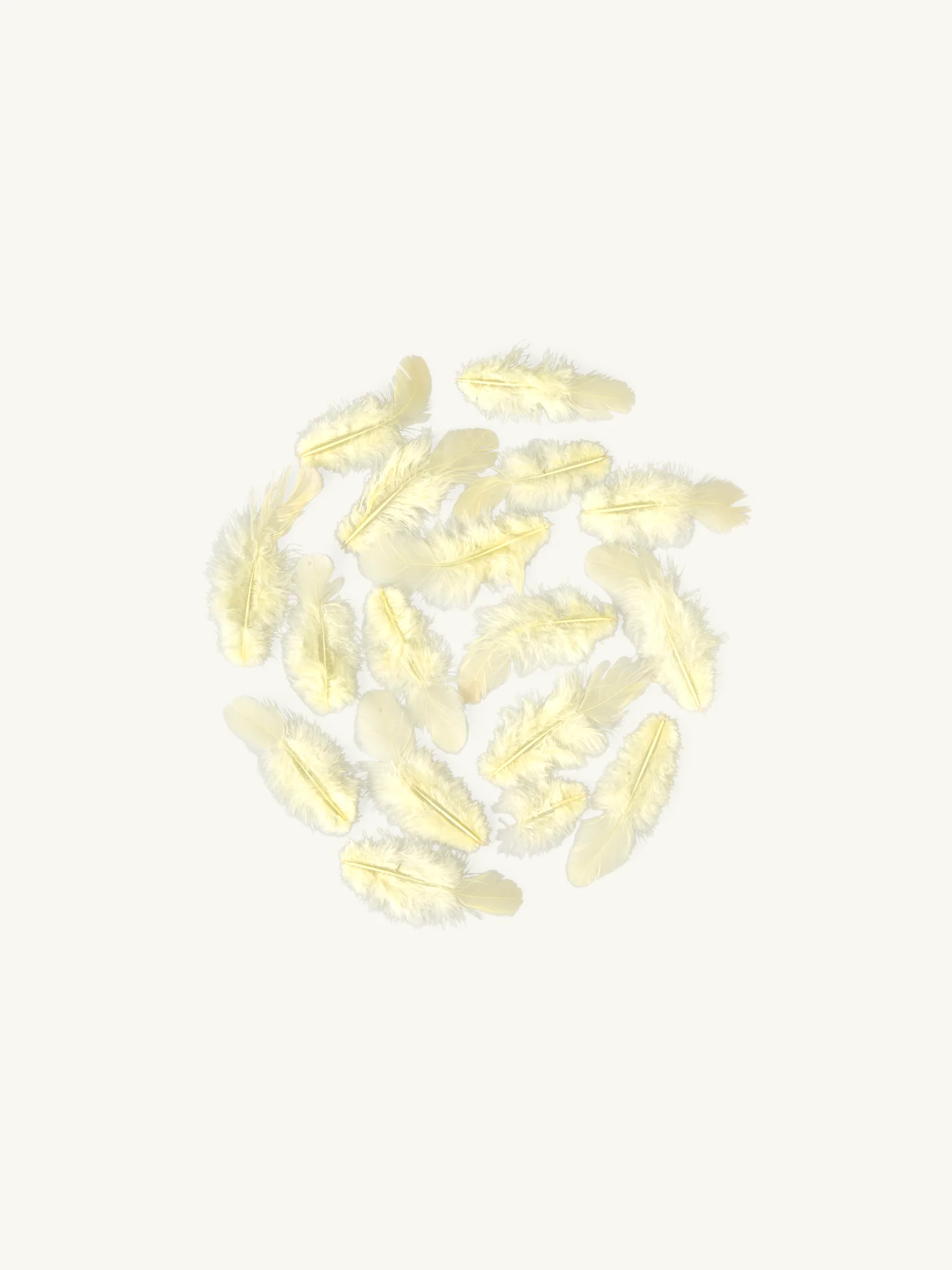 Hænsnafjaðrir - Image 4