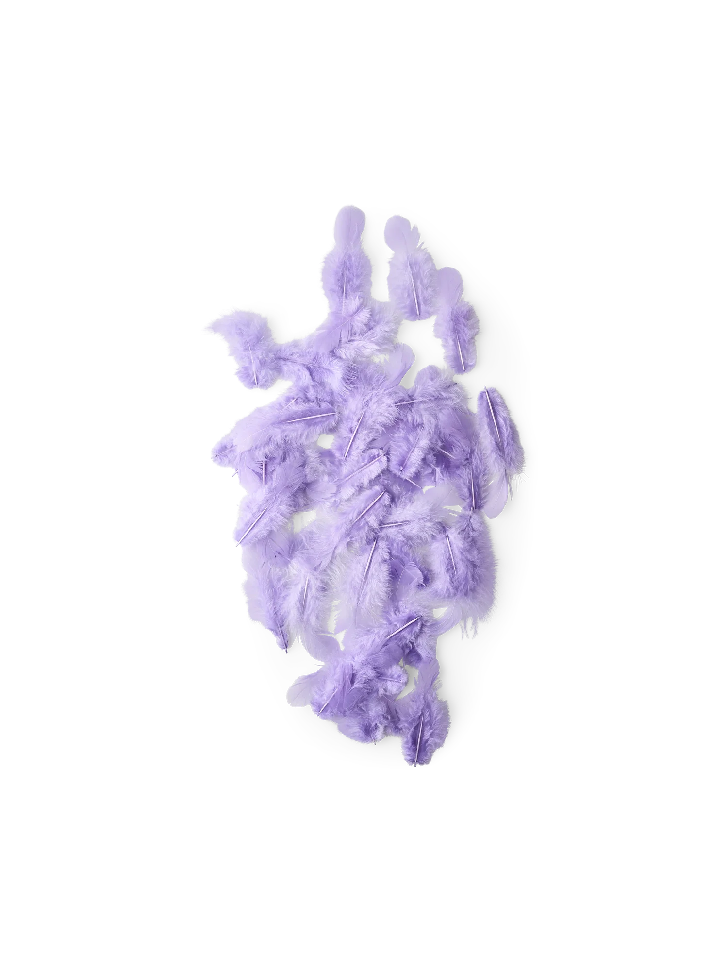 Hænsnafjaðrir - Image 5