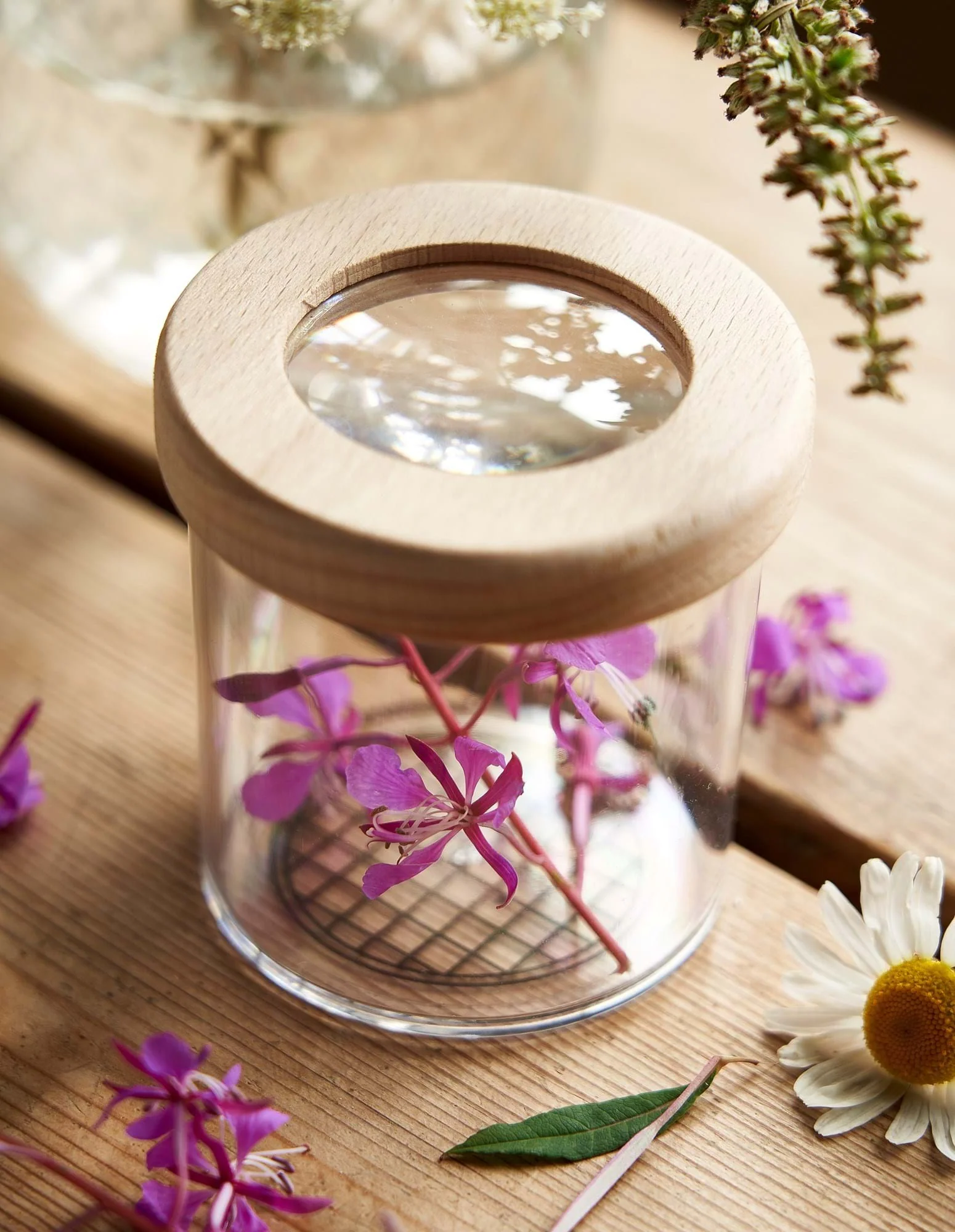 Rannsóknarbox - Image 3