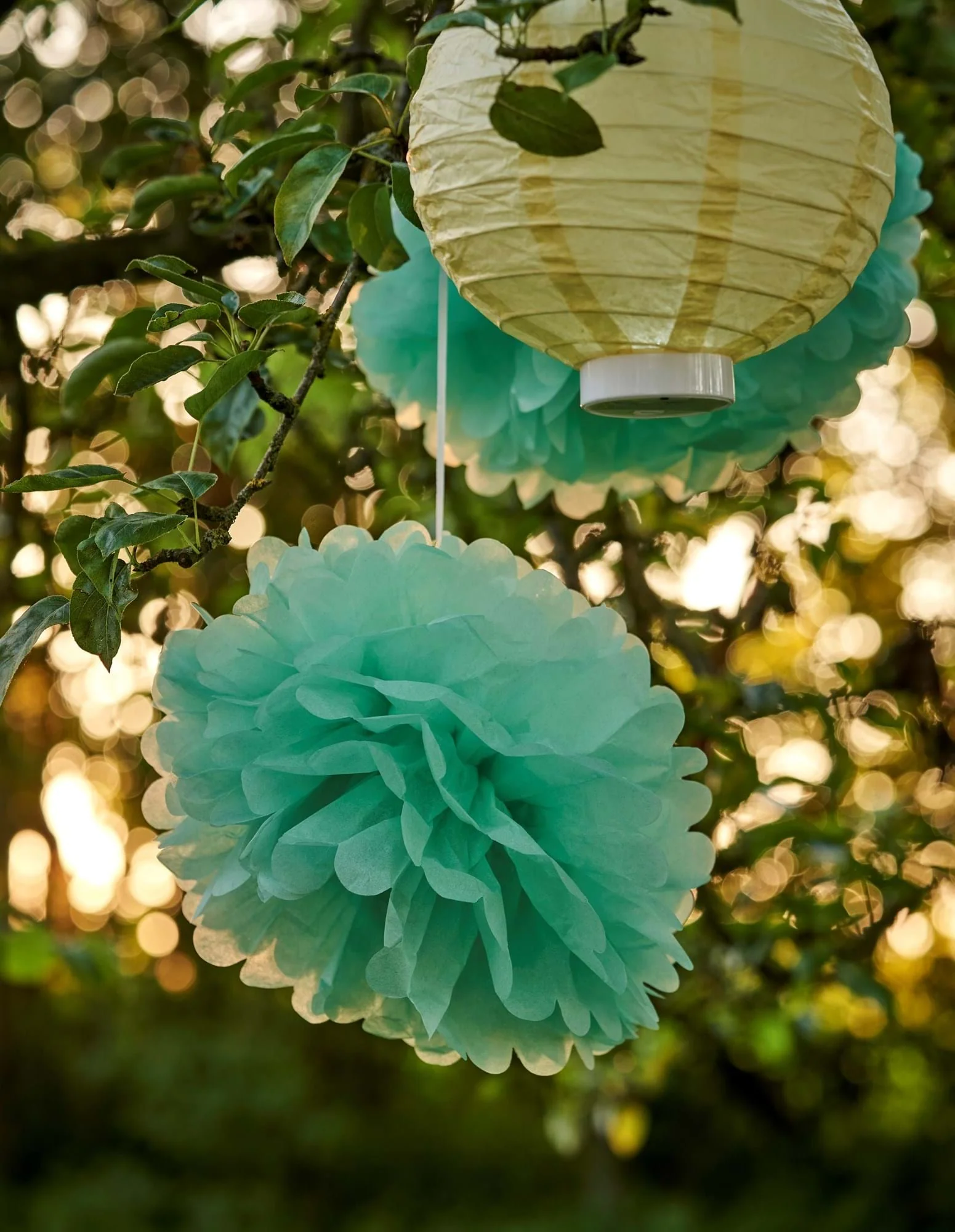 Blóma pom pom - Image 6