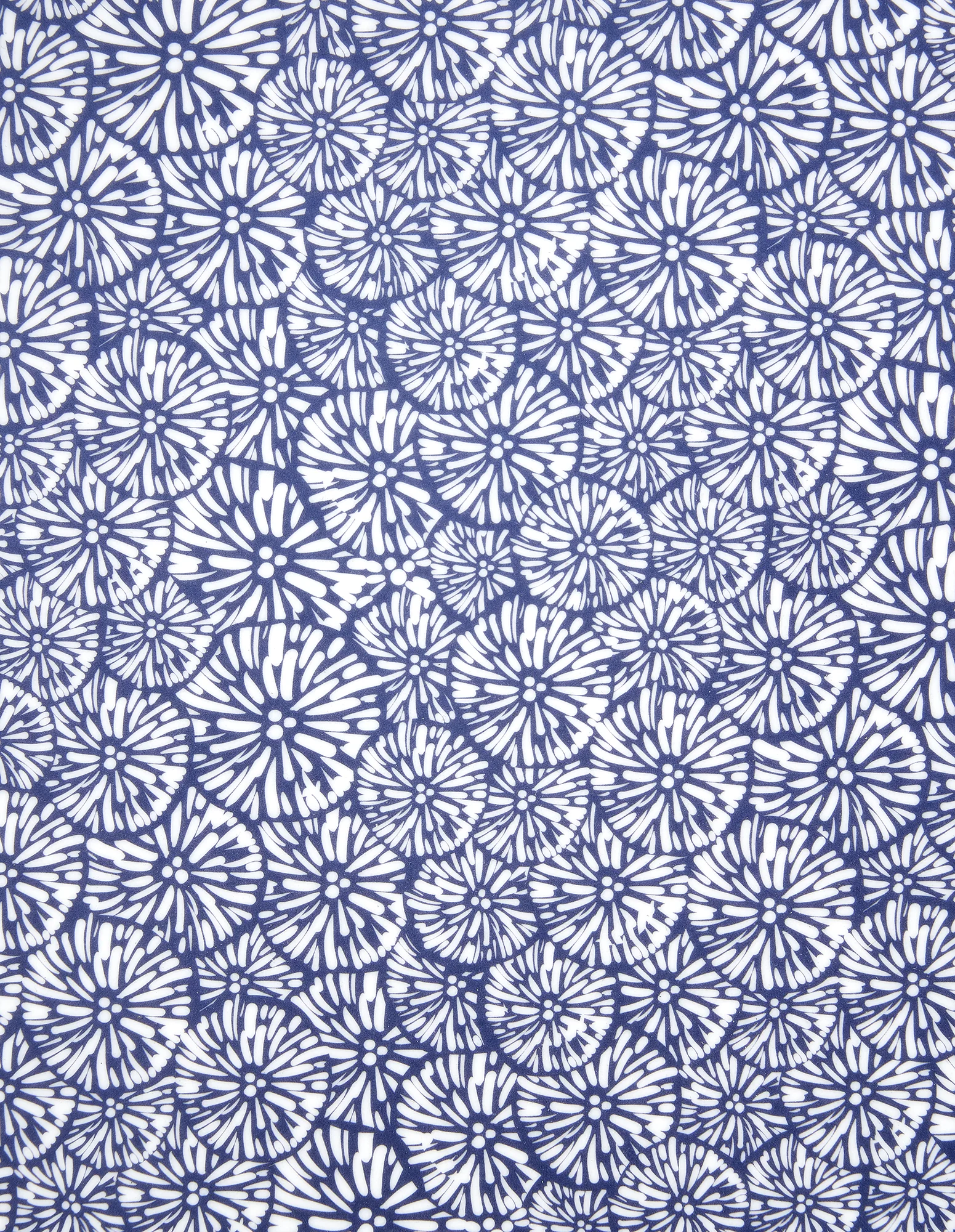 Bakki - Image 2