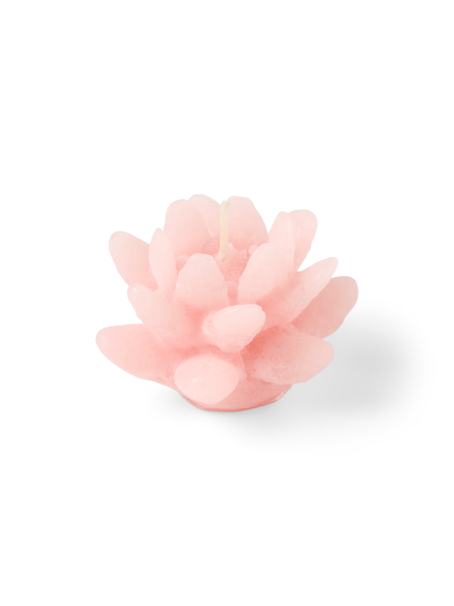 Blómlaga flotkerti - Image 6