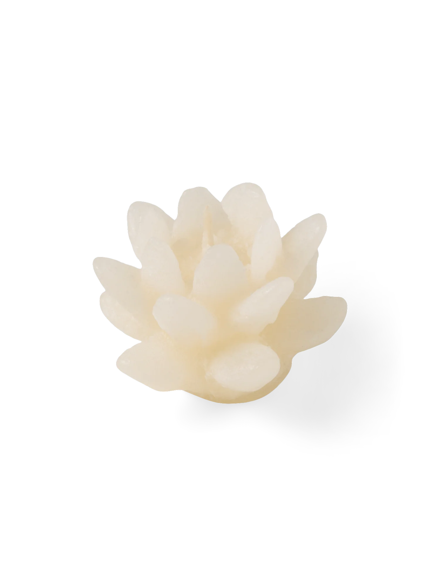 Blómlaga flotkerti - Image 7
