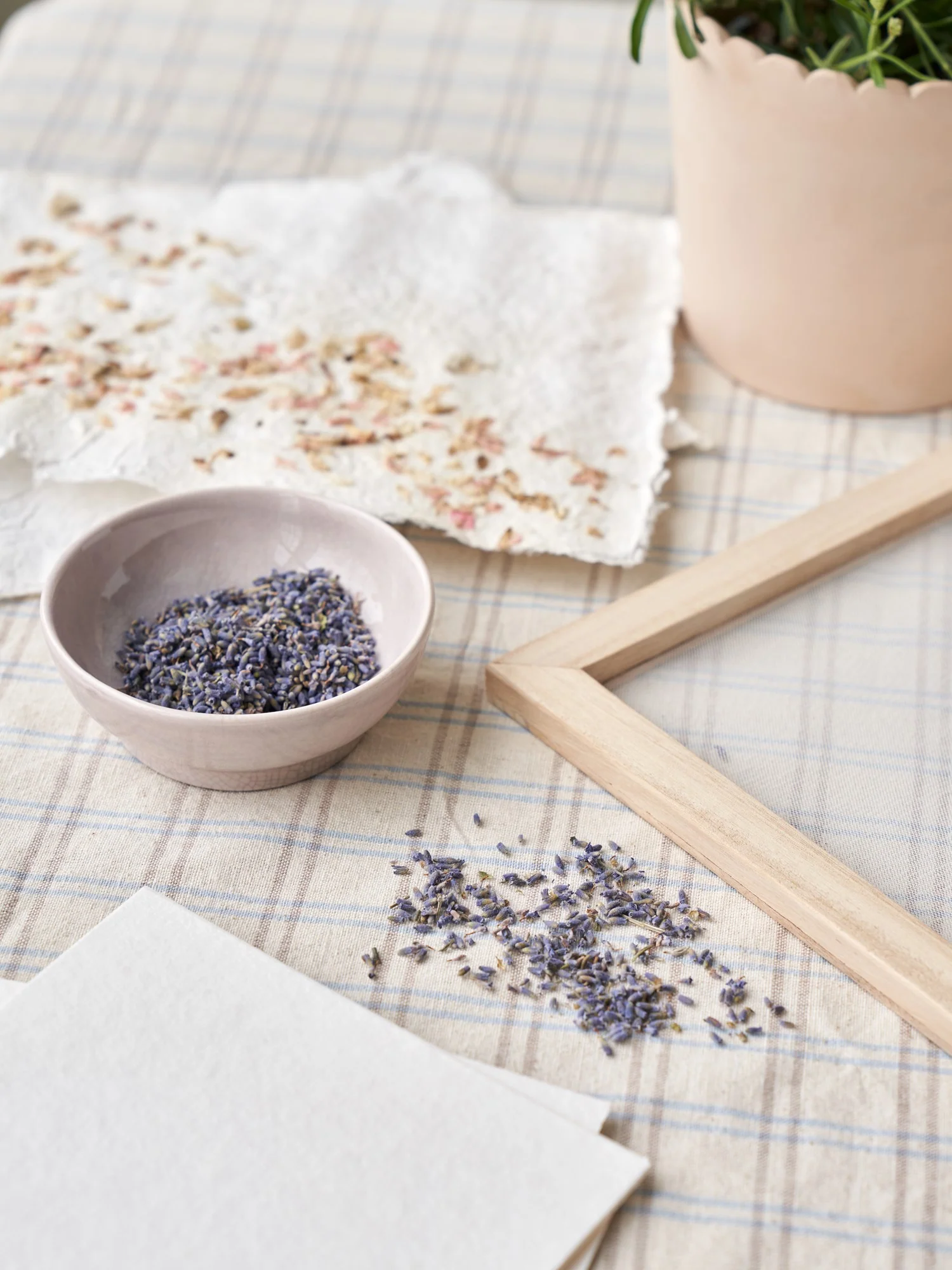 Þurrkaður lavender - Image 2