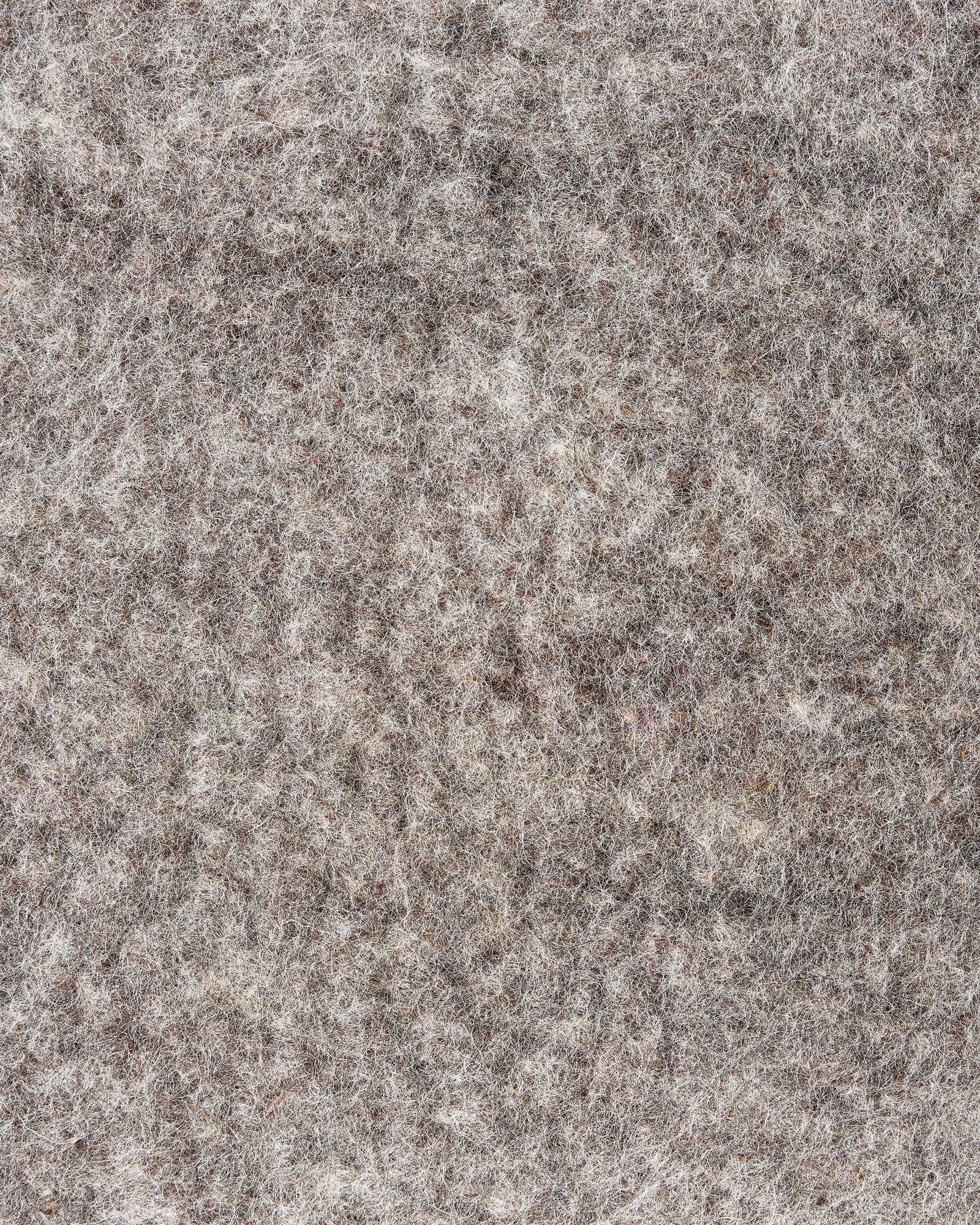 Sessa - Image 7