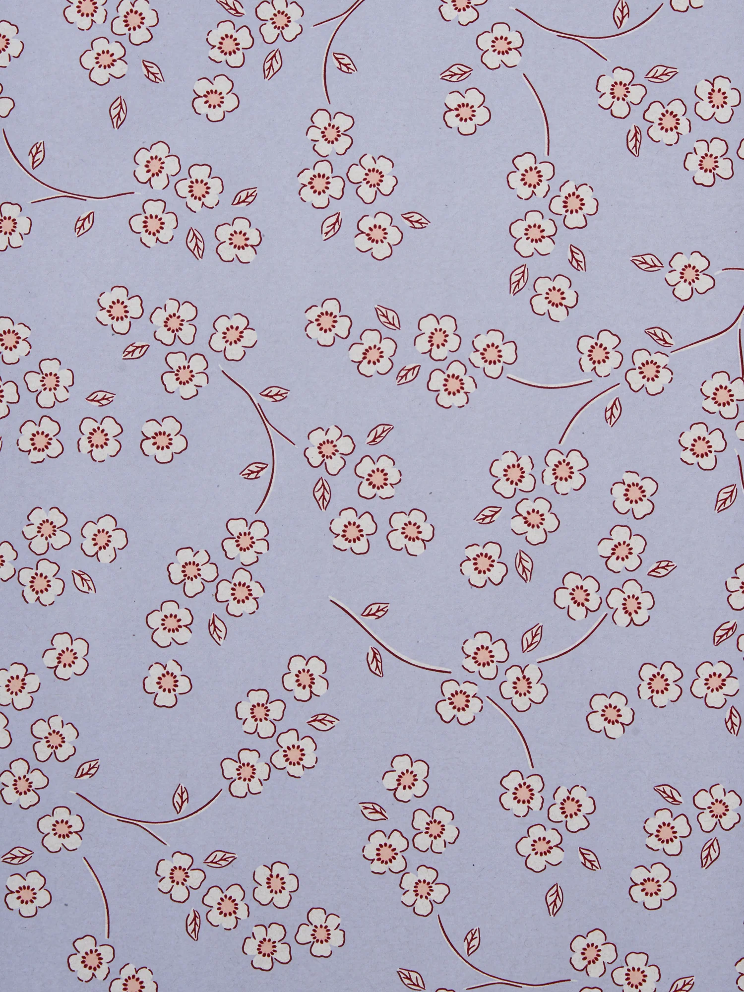 Gjafapappír - Image 2