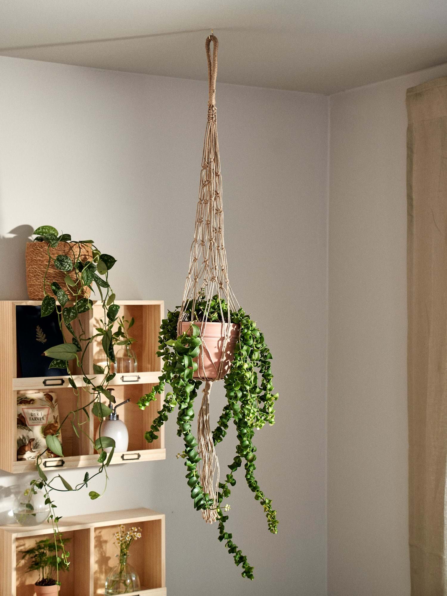 Upphengi fyrir blómapott - Image 2