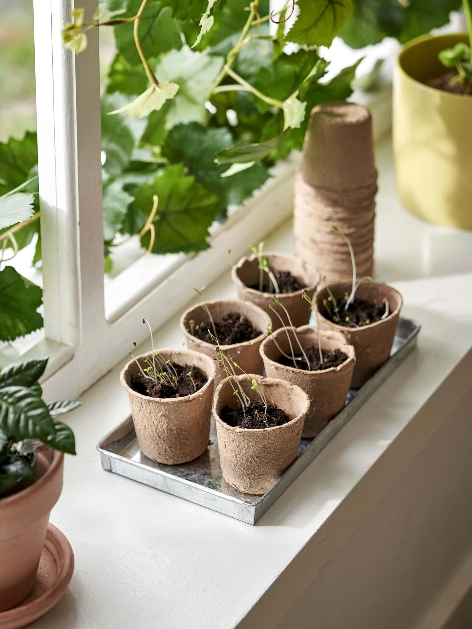 Bakki til prýði - Image 2