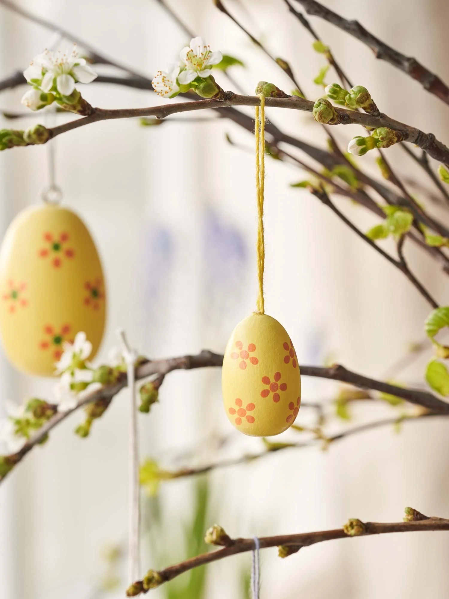 Egg til skrauts - Image 3