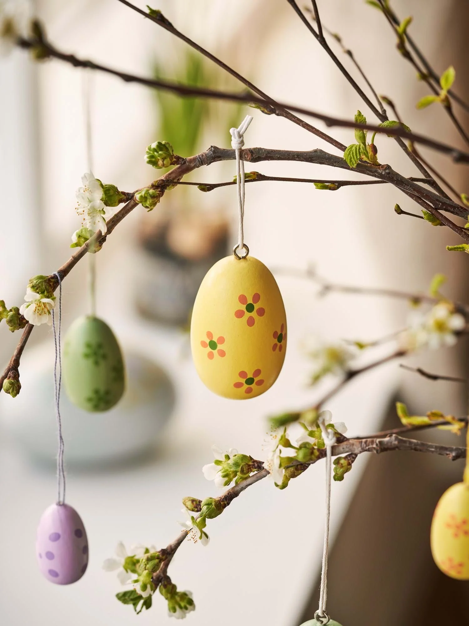 Egg til skrauts - Image 3