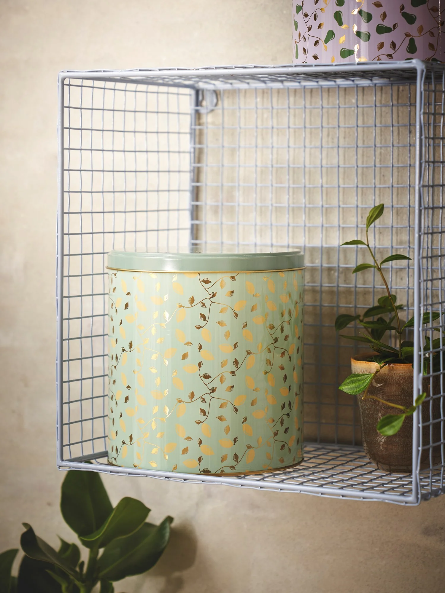 Kökubox - Image 3
