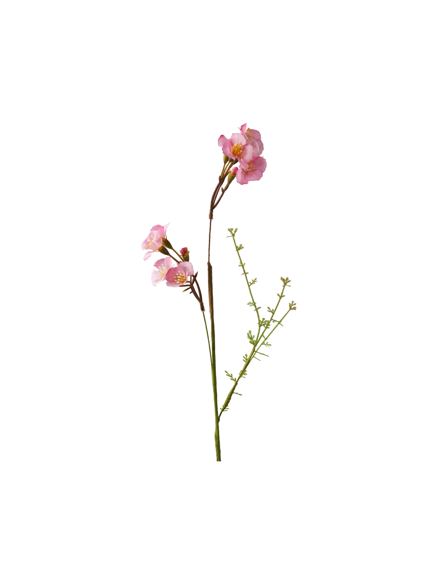 Gerviblóm - Image 4