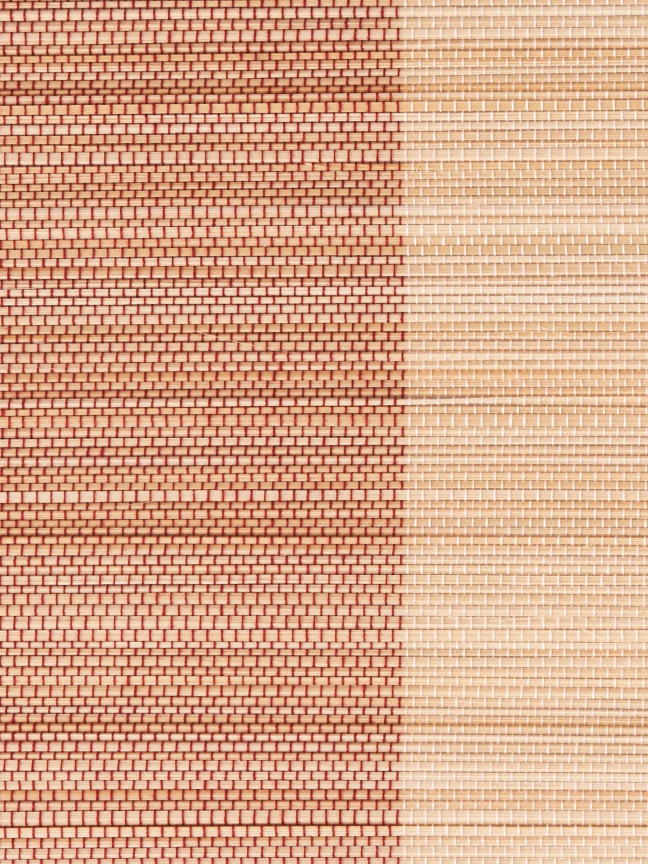 Diskamotta - Image 2