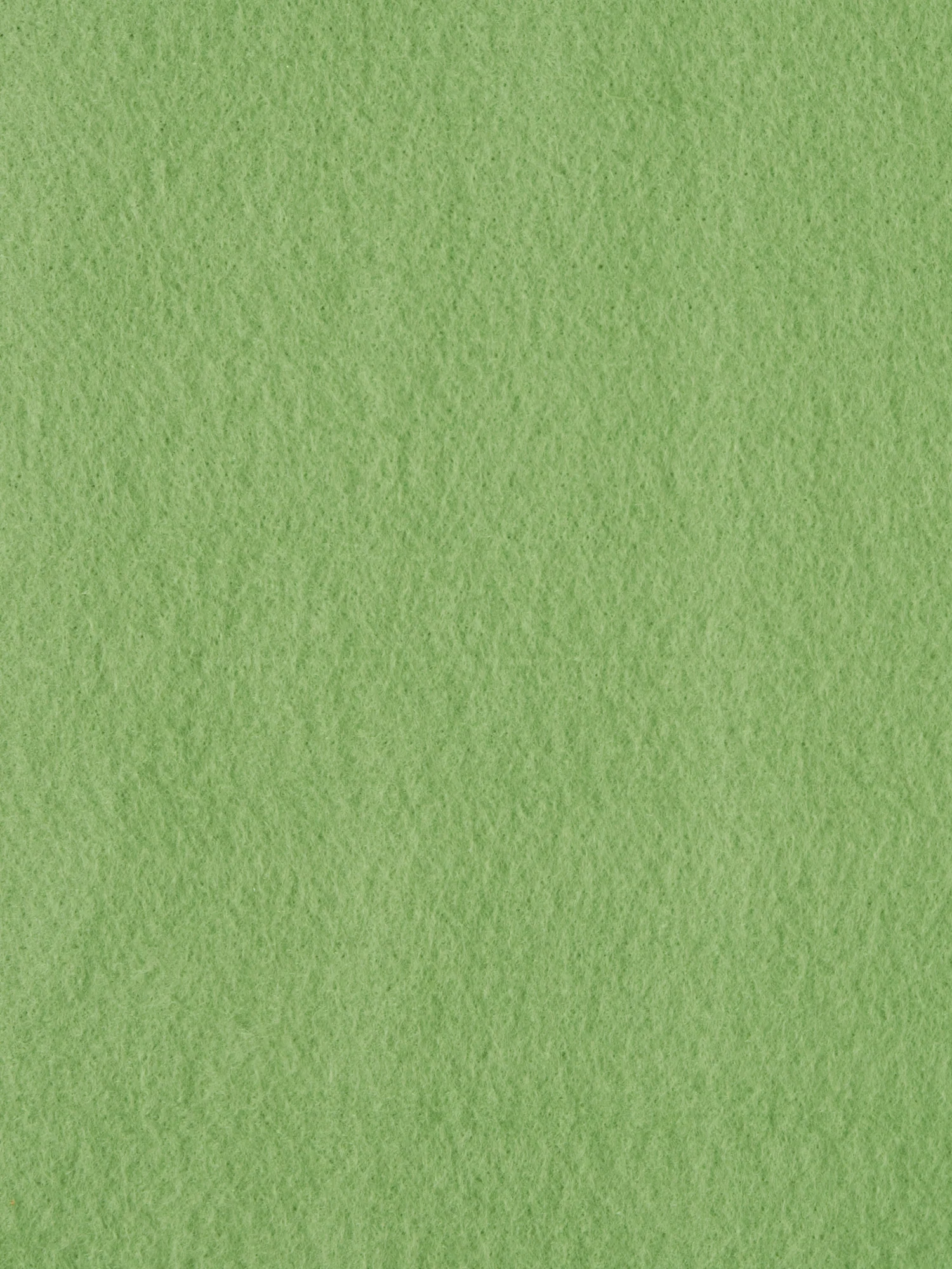 Flóki - Image 14