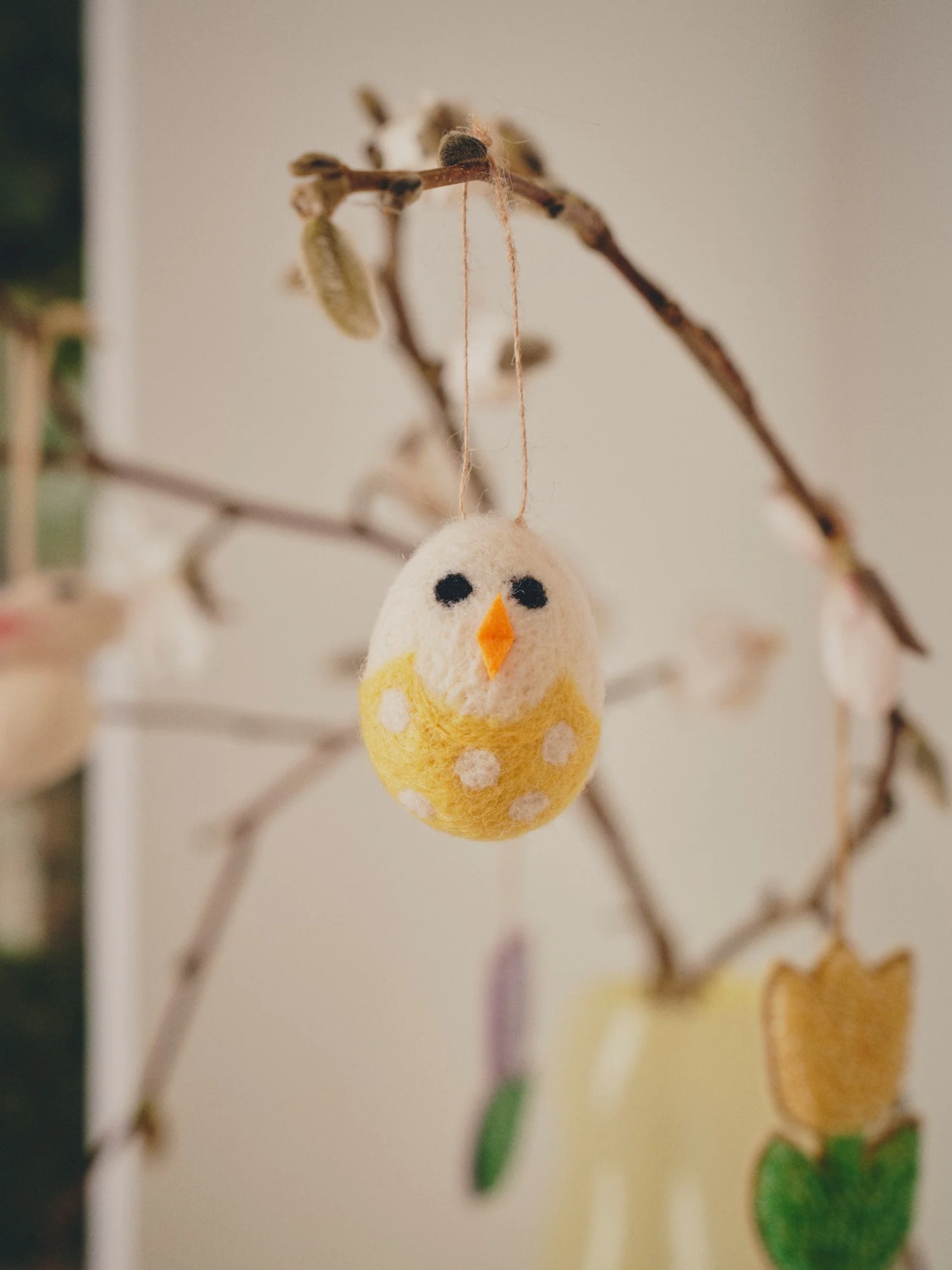 Ungi í eggi - Image 2