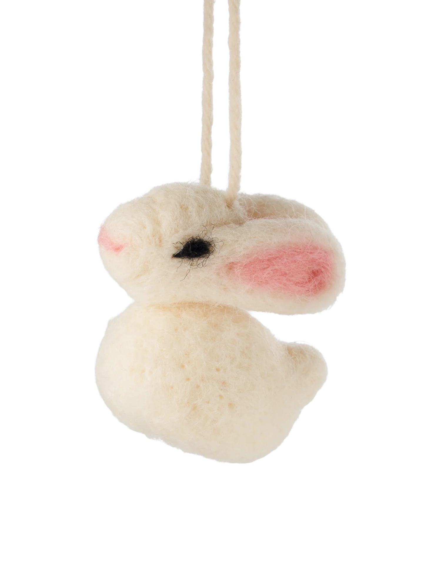 Kanínuskraut