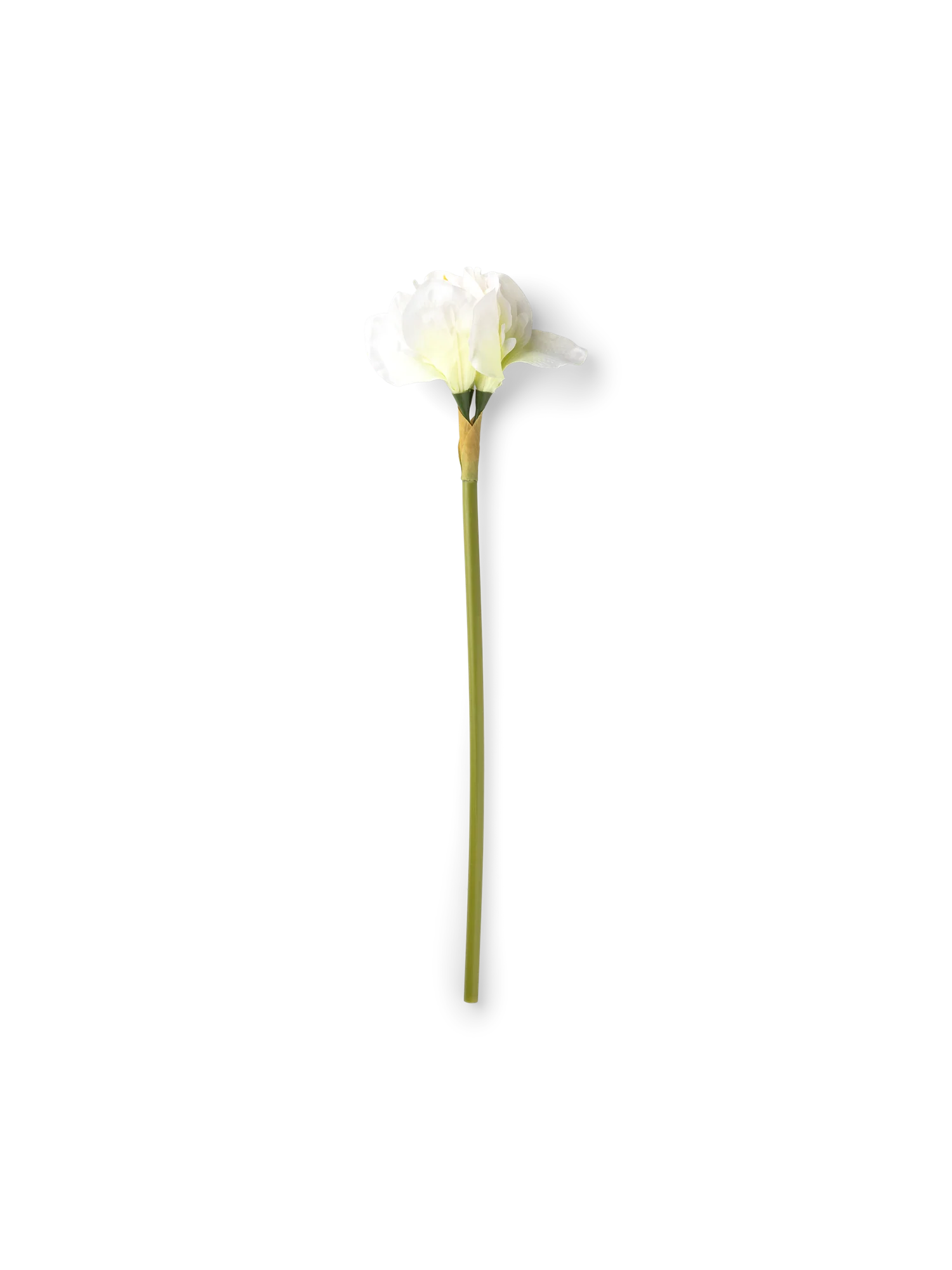 Gerviblóm - Image 4