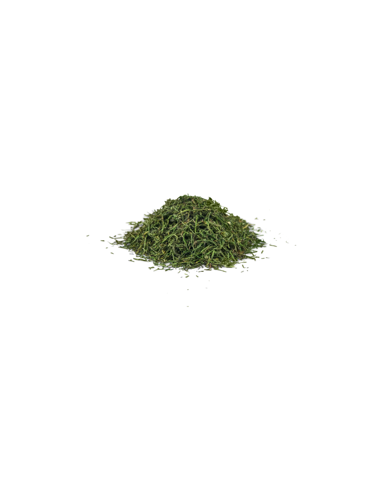 Dill - Image 2