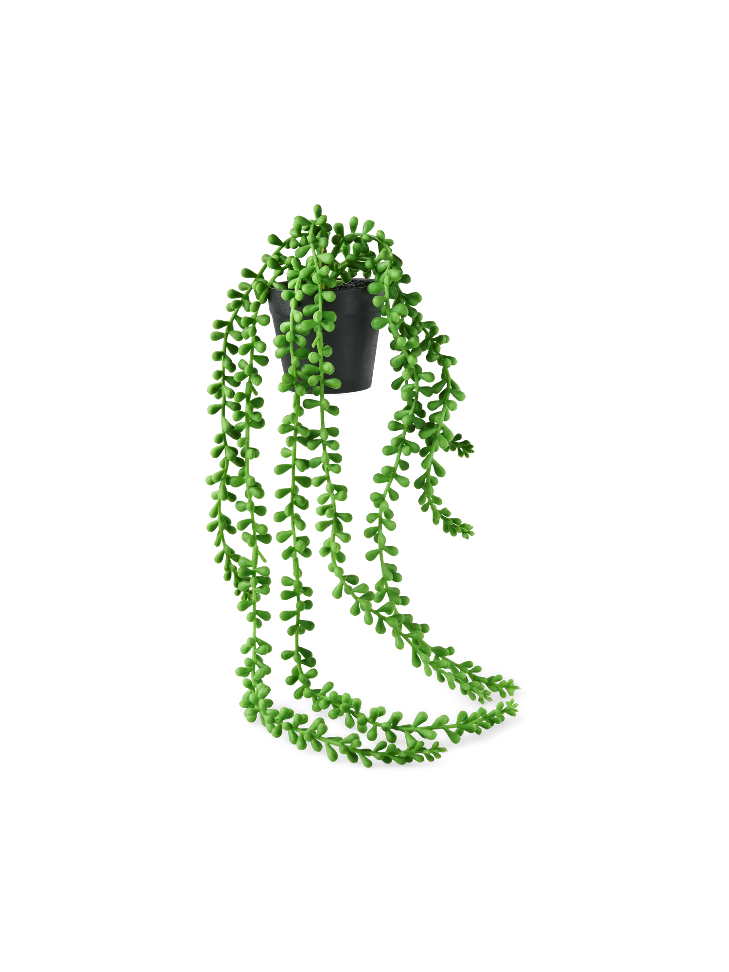 Smámynd 1