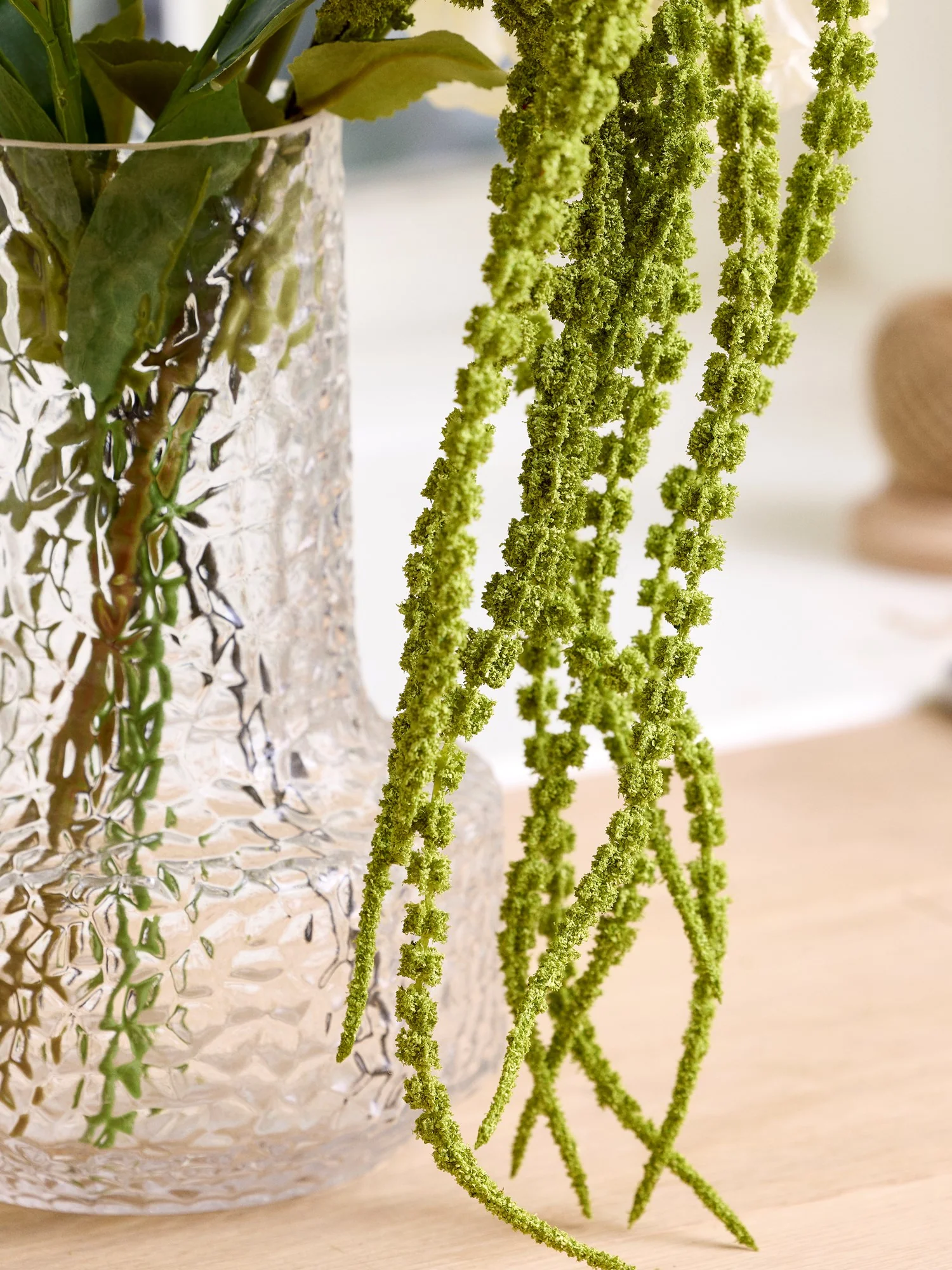 Gerviblóm - Setaria Viridis - Image 4