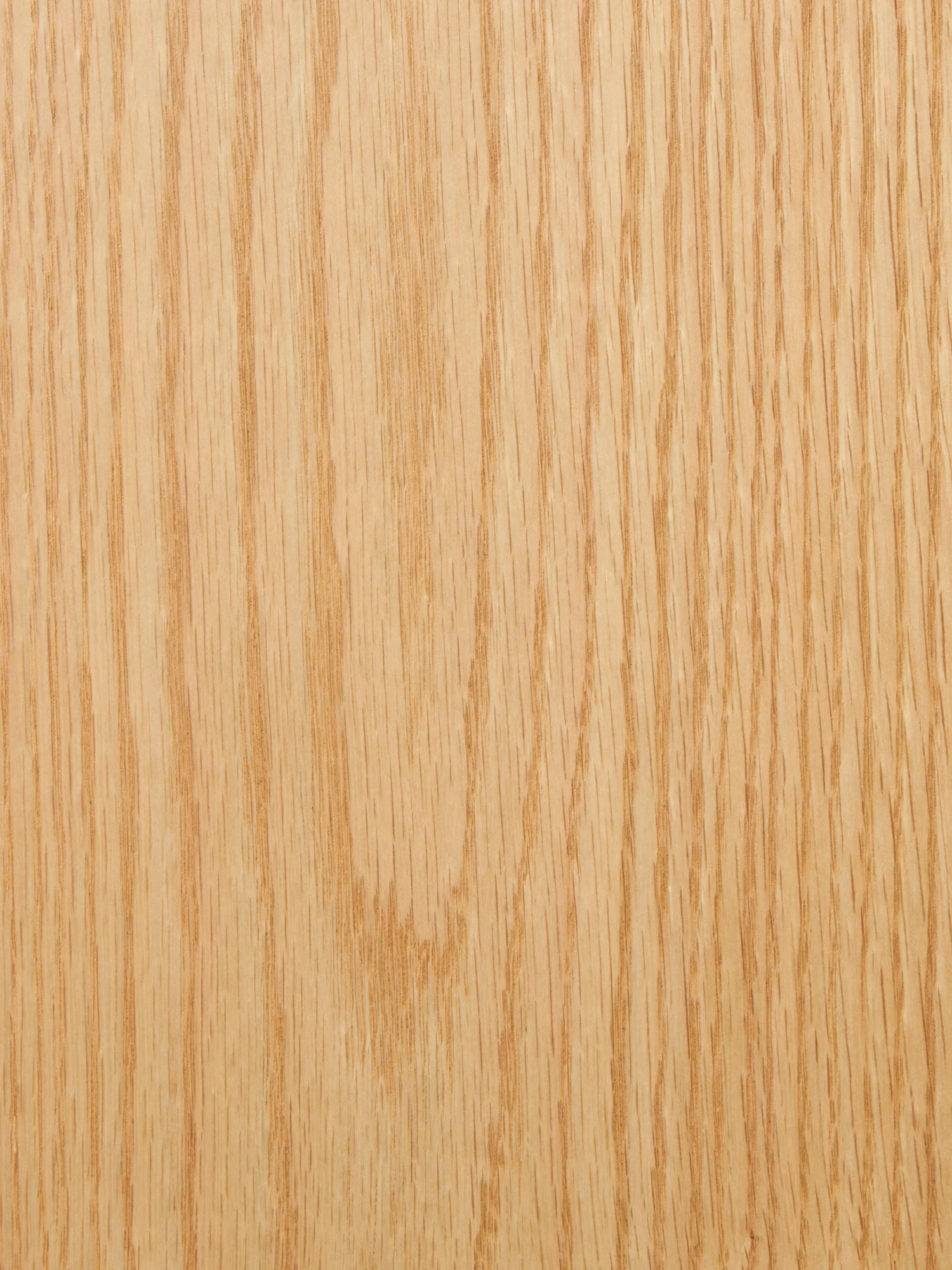 Bookcase - Image 4