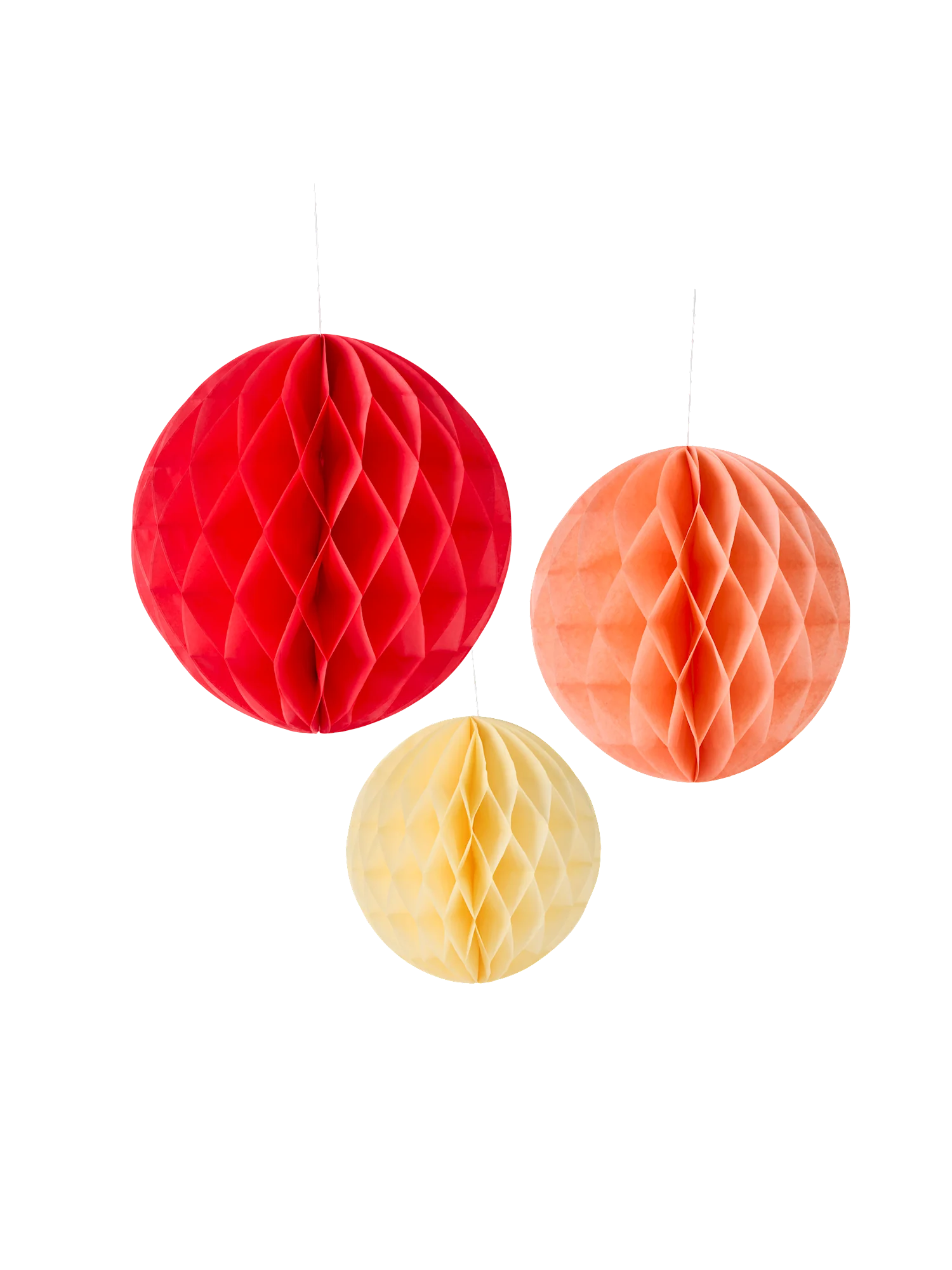 Hunangsköku pompoms - Image 3