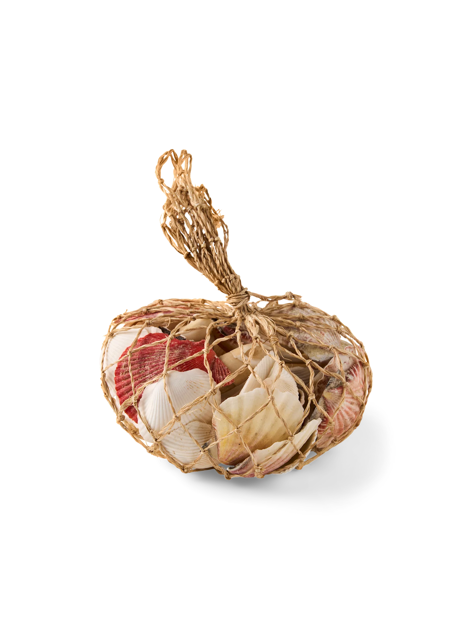 Deco shells - Image 2