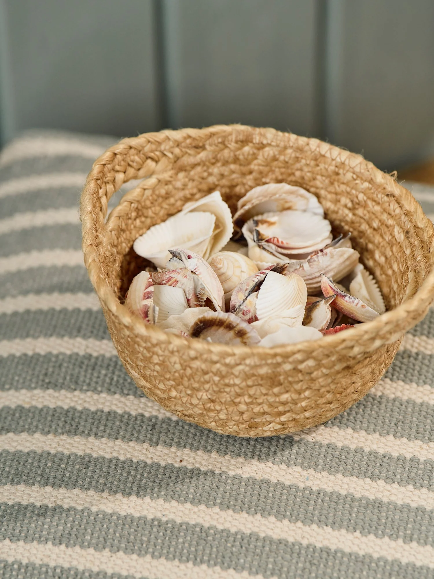 Deco shells - Image 3