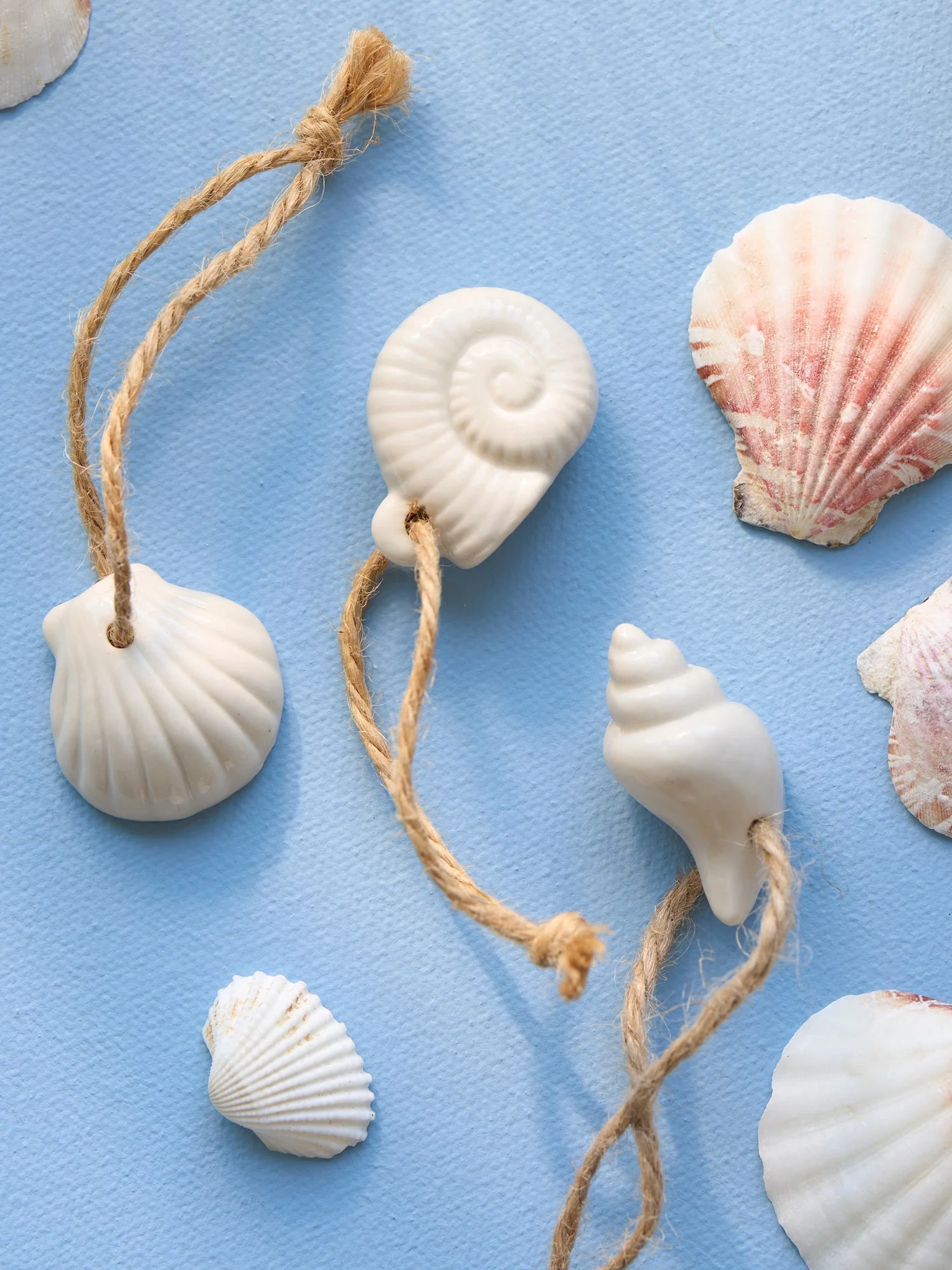 Deco shell - Image 4