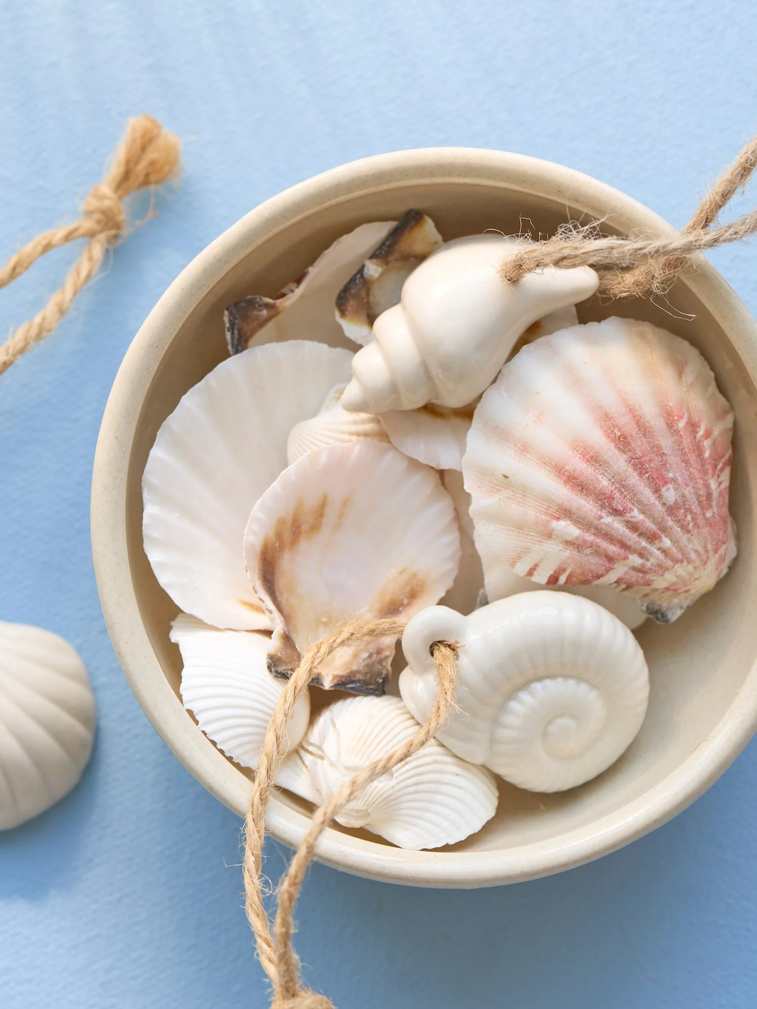 Deco shell - Image 3