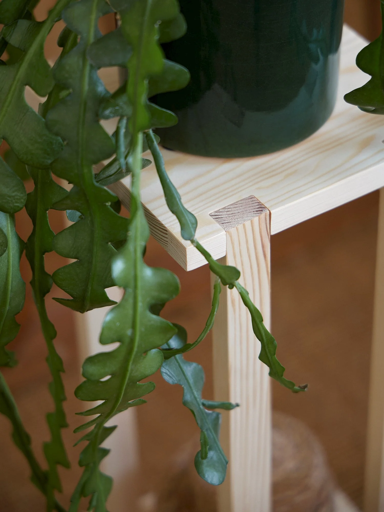 Pine plant stand - Image 5