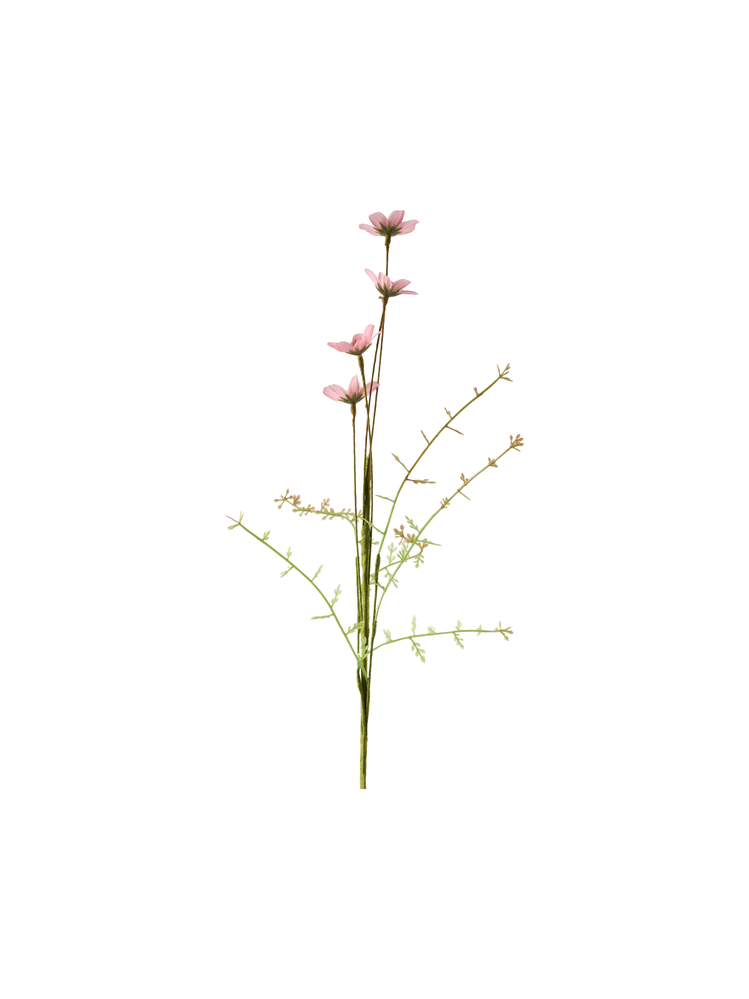 Gerviblóm - Image 3